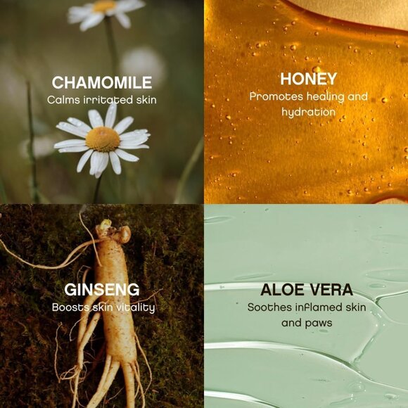 Hypoallergenic Dog Wipes – Natural Aloe Grooming Wipes for Paws Face Ears Eyes & - Picture 8 of 9